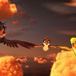 Foto Missão Cegonha