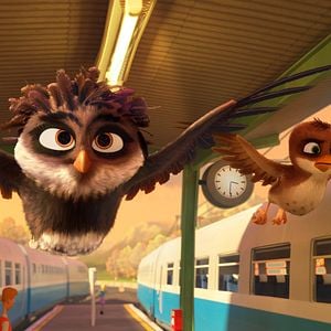 Foto Missão Cegonha