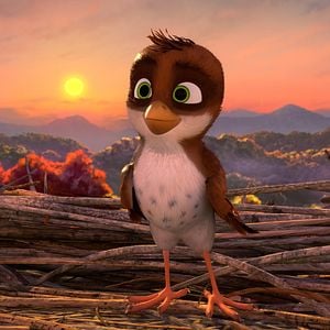 Foto Missão Cegonha