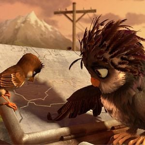 Foto Missão Cegonha