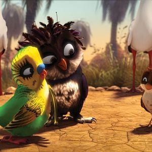 Foto Missão Cegonha