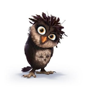 Foto Missão Cegonha