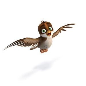 Foto Missão Cegonha