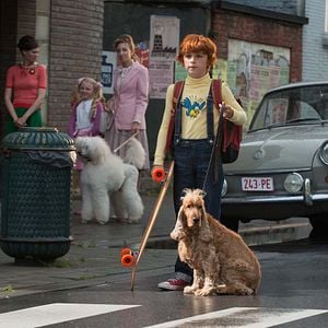 Foto Cão Que Ladra Não Morde 2