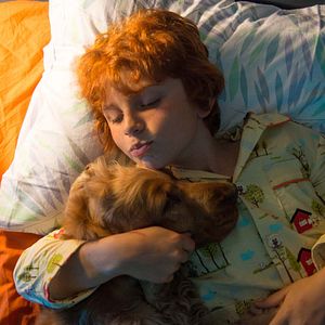 Foto Cão Que Ladra Não Morde 2