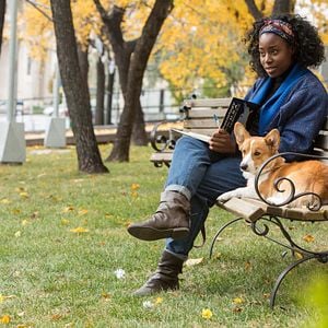Foto Quatro Vidas de um Cachorro