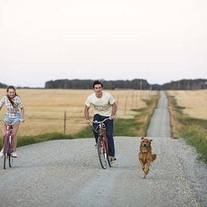 Foto Quatro Vidas de um Cachorro
