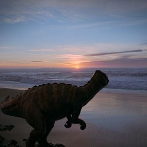 Foto Voyage of Time: Life's Journey