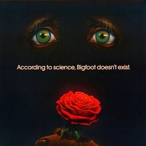 Foto Um Hóspede do Barulho