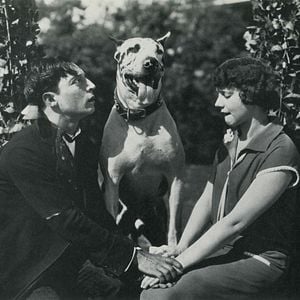 Foto Sete Oportunidades