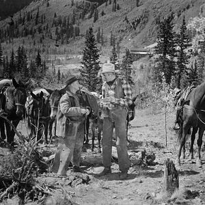 Foto A Passagem da Noite