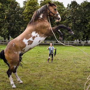 Foto Hanni & Nanni: Mais que Melhores Amigas