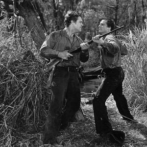 Foto O Segredo Do Pântano