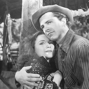 Foto O Segredo Do Pântano