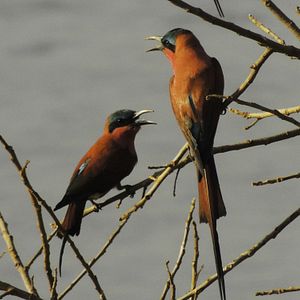 Foto Todas as Manhãs do Mundo