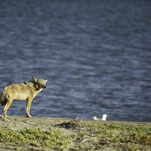 Foto Todas as Manhãs do Mundo