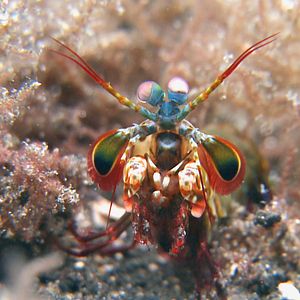 Foto Todas as Manhãs do Mundo