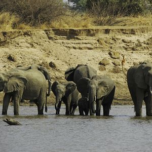 Foto Todas as Manhãs do Mundo