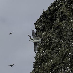 Foto Todas as Manhãs do Mundo