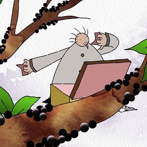 Foto História Antes de uma História