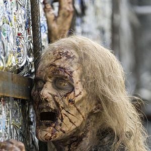 Foto The Walking Dead