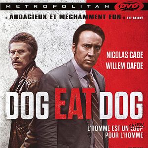 Foto Cães Selvagens