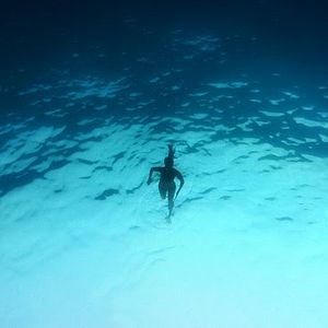 Foto How to Meet a Mermaid