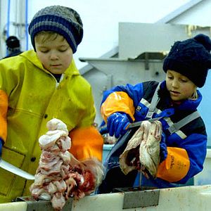 Foto Tungeskjærerne