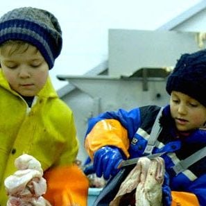 Foto Tungeskjærerne