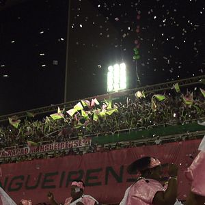 Foto Memória em Verde e Rosa