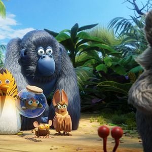 Foto Uma Floresta Muito Louca