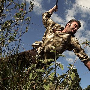 Foto La Mujer del Animal
