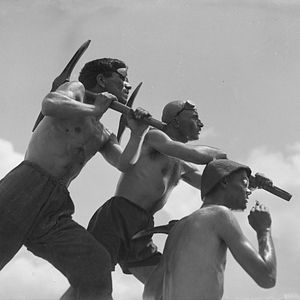 Foto Sal para a Svanécia