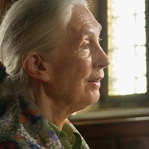 Foto Jane Goodall
