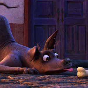 Foto Viva - A Vida é uma Festa