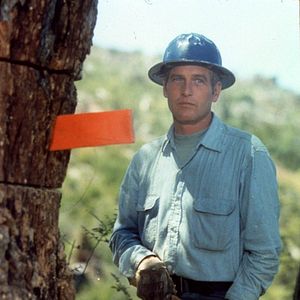 Foto Uma Lição Para não Esquecer