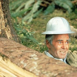 Foto Uma Lição Para não Esquecer