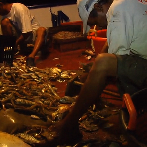 Foto Ruínas Seu Reino