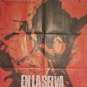 Foto Na selva não há estrelas