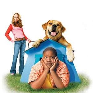 Foto Cãofusões