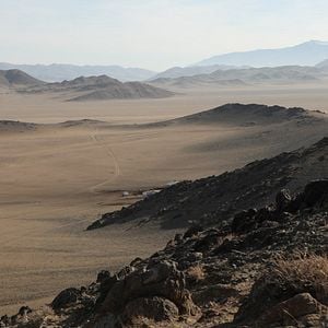 Foto Uma Caçadora E Sua Águia