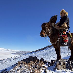 Foto Uma Caçadora E Sua Águia