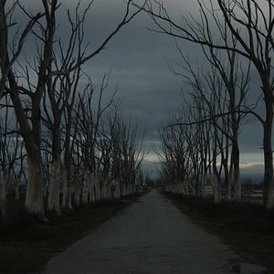 Foto Cidades Fantasmas