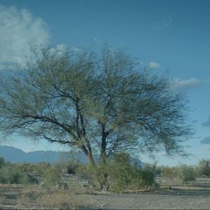 Foto A Noiva do Deserto