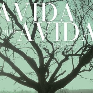 Foto A Vida Após a Vida