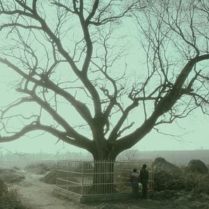 Foto A Vida Após a Vida