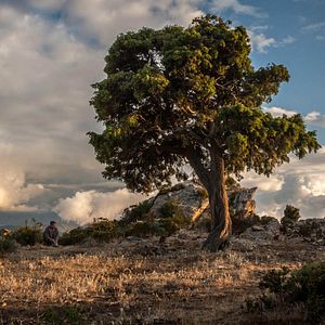 Foto La Papesse Jeanne