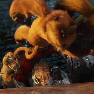 Foto Uma Floresta Muito Louca