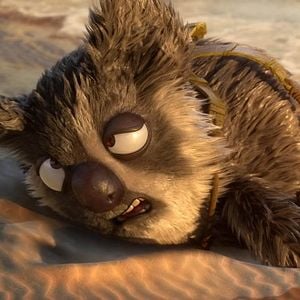 Foto Uma Floresta Muito Louca