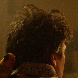 Foto Le Ciel étoilé au-dessus de ma tête